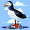 Puffin Cute Atlantic Seabird standing on a rock in the Ocean Vector Illustration