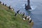 Puffin family group on the cliff in Vic, Southern.