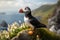 Puffin, Fratercula arctica, standing on a rock with flowers, Atlantic Puffin or Common Puffin, Fratercula arctica, Norway, AI