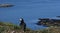 Puffin looking out to sea in puffin colony in Hebrides