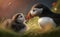 Puffin mother feeding her baby chick in an affectionate moment, generative AI