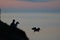 Puffin rock on southern coast of Iceland