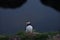 Puffin rock on southern coast of Iceland