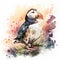 Puffin. Watercolor illustration on white background. Watercolor painting.