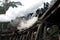 Puffing Billy crossing the Belgrave trestle bridge