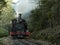 Puffing Billy train ride through the Dandenong Ranges near Melbourne, Australia