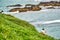 Puffins in Borgafjordur Eystri reserve sanctuary. Iceland