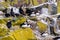 Puffins with brightly coloured beaks in Farne Islands