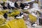 Puffins with brightly coloured beaks in Farne Islands