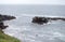 Puffins on Icelandic Cliff