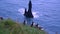 Puffins on a rock overlooking the sea