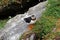 Puffins at the Skellig islands