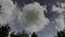 Puffy white clouds blue sky ripple and dance reflected on surreal woodland lake