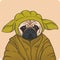 Pug in the costume of Master Yoda