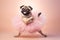 Pug dog ballerina dancer in a tutu on pastel background. Dog dancing in ballerina outfit doing a pirouette. Classic dance,
