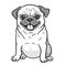 Pug dog black and white hand drawn cartoon portrait. Funny happy