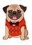 Pug dog cartoon illustration. Cute friendly fat chubby fawn sitting pug puppy, smiling with tongue out, wearing argyle vest and b