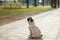 Pug dog - dog girl - with pink collar in the park. Happy puppy having rest. Dog enjoying nature.