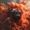 Pug dog with dramatic fiery clouds in the background