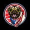 Pug dog head eyeglasses wearing american flag neck bandana illustration