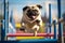 Pug dog jumping over obstacle while doing agility sports
