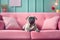 Pug dog lying on pink sofa, pet waiting on couch in room, generative AI