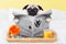 Pug dog newspaper