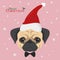 Pug dog with red Santa`s hat