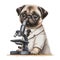 A pug dog in a researcher\'s uniform working in a laboratory, watercolor, AI generated