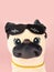 Pug dog toy muzzle close-up, portrait. Plush soft beige black pug dog toy with sunglasses and gold collar isolated on pink