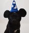 Pug dog wearing mouse ears