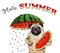 Pug eats watermelon under umbrella