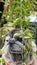 Pug, fat dog in the garden, Dave leaf, tropical nature concept