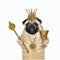 Pug king with goblet and scepter