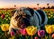 Pug lying on green lawn with tulips at sunset. Relaxed dog resting on walk surrounded by bright flowers. Generative AI.