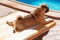 Pug lying on a Lounger in front of the Pool