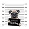 Pug prisoner. Arrest photo. Police placard, Police mugshot, lineup. Police department banner. Dog criminal. Pug offender. Vector.