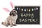 Pug puppy dog with bunny ears diadem sitting next to chalkboard sign with text happy easter and decoration, on white background