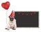 Pug puppy dog with red party hat, sitting next to blank blackboard sign and holding heart shaped balloon, isolated on white b