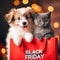 Pug puppy hugs kitten and holds shopping bag with black friday text. isolated on white background