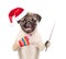 Pug puppy in red christmas hat holding a pointing stick and points away. isolated on white background