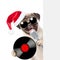 Pug puppy with retro microphone with vinyl record in red santa hat peeking from behind empty board. isolated on white background