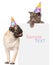 Pug puppy and small kitten in birthday hats above white banner. Space for text. isolated on white