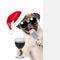 Pug puppy with wineglass and retro microphone in red christmas hat peeking from behind empty board. isolated on white background