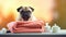 pug relaxed from spa procedures