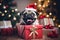 Pug\\\'s canine Christmas: gifts and bokeh