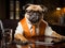 Pug in suit working at desk with laptop