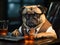 Pug in suit working at desk with laptop