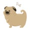 Pug on white. Child fun pattern icon.