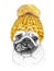 Pug with yellow knitted hat and scarf. Hand drawn illustration of dressed dog